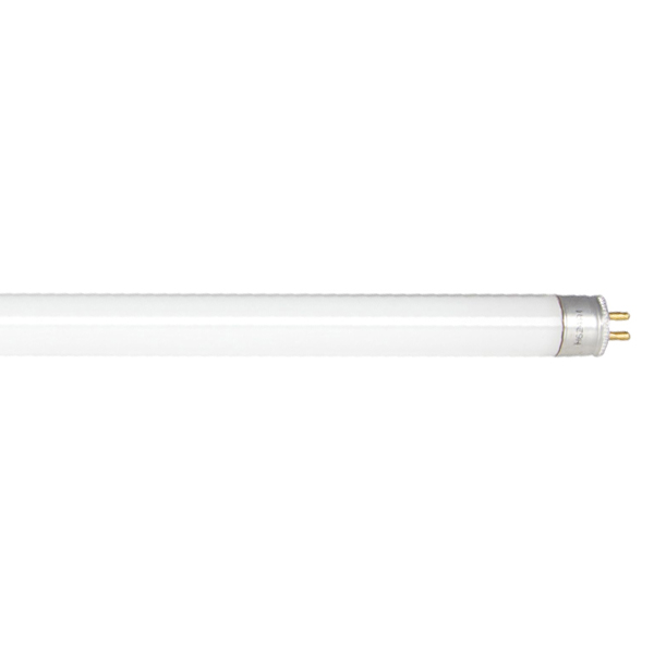 T5 High Output
