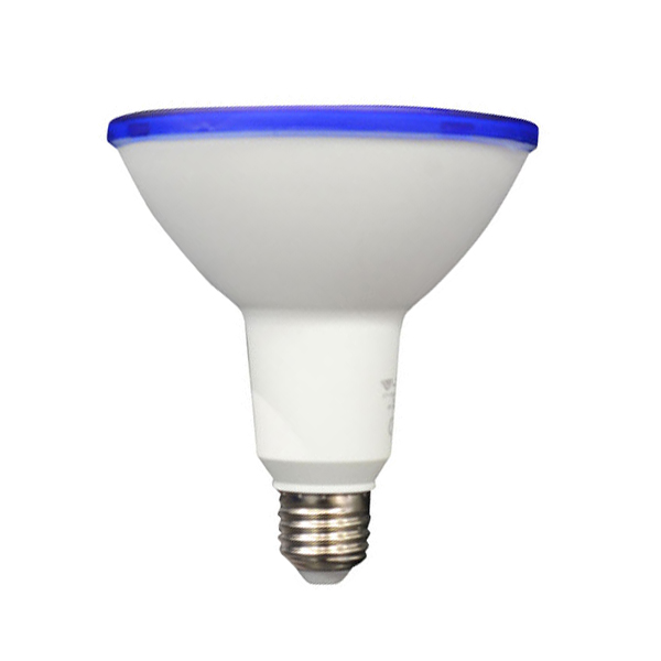 LED PAR38 Coloured