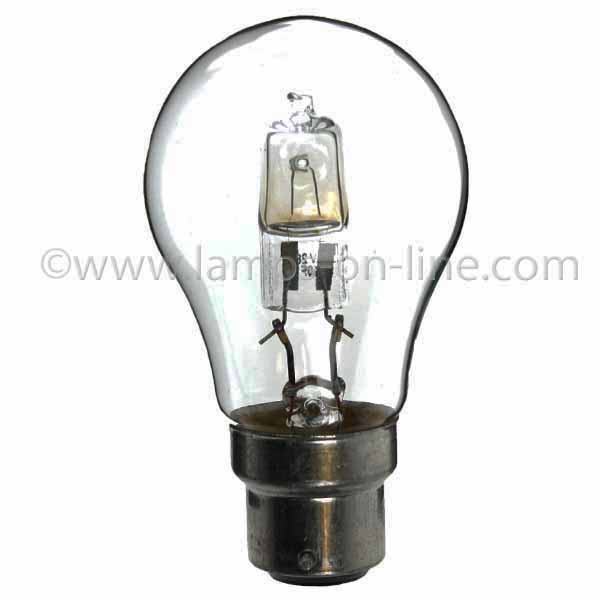 Household Bulbs