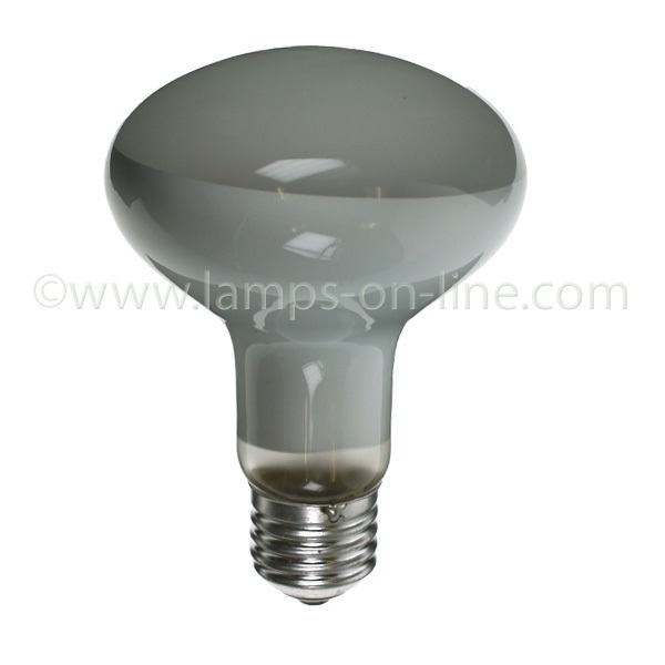 R80 Spotlight (80mm diameter)