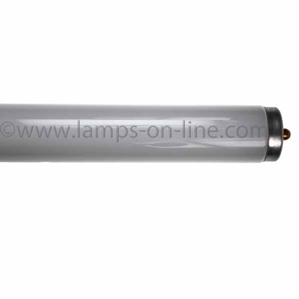 American Fluorescent Tubes