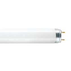 Osram Biolux T8