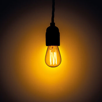 Decorative Mini Edison Bulbs