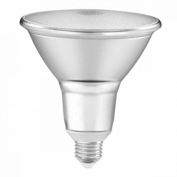LED PAR38