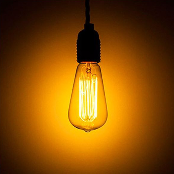 Squirrel Cage Edison Bulbs