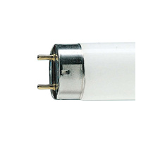 G13 Lightbulb Cap Type
